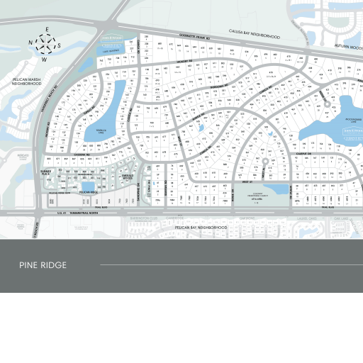 Pine Ridge Naples R&d Project Map of Pine Ridge, Naples FL